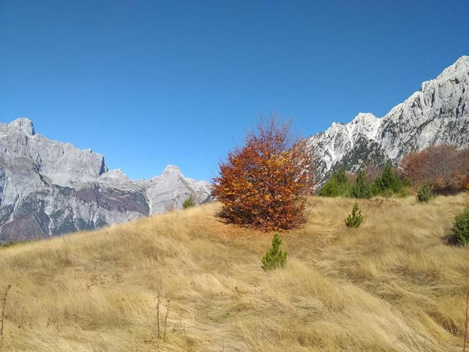 Bujtina 2 Valbone Exterior foto