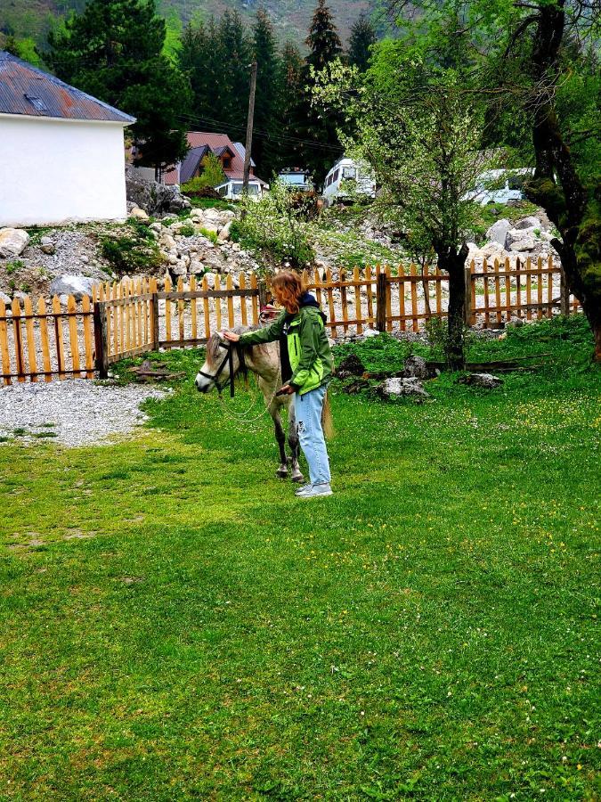 Bujtina 2 Valbone Exterior foto